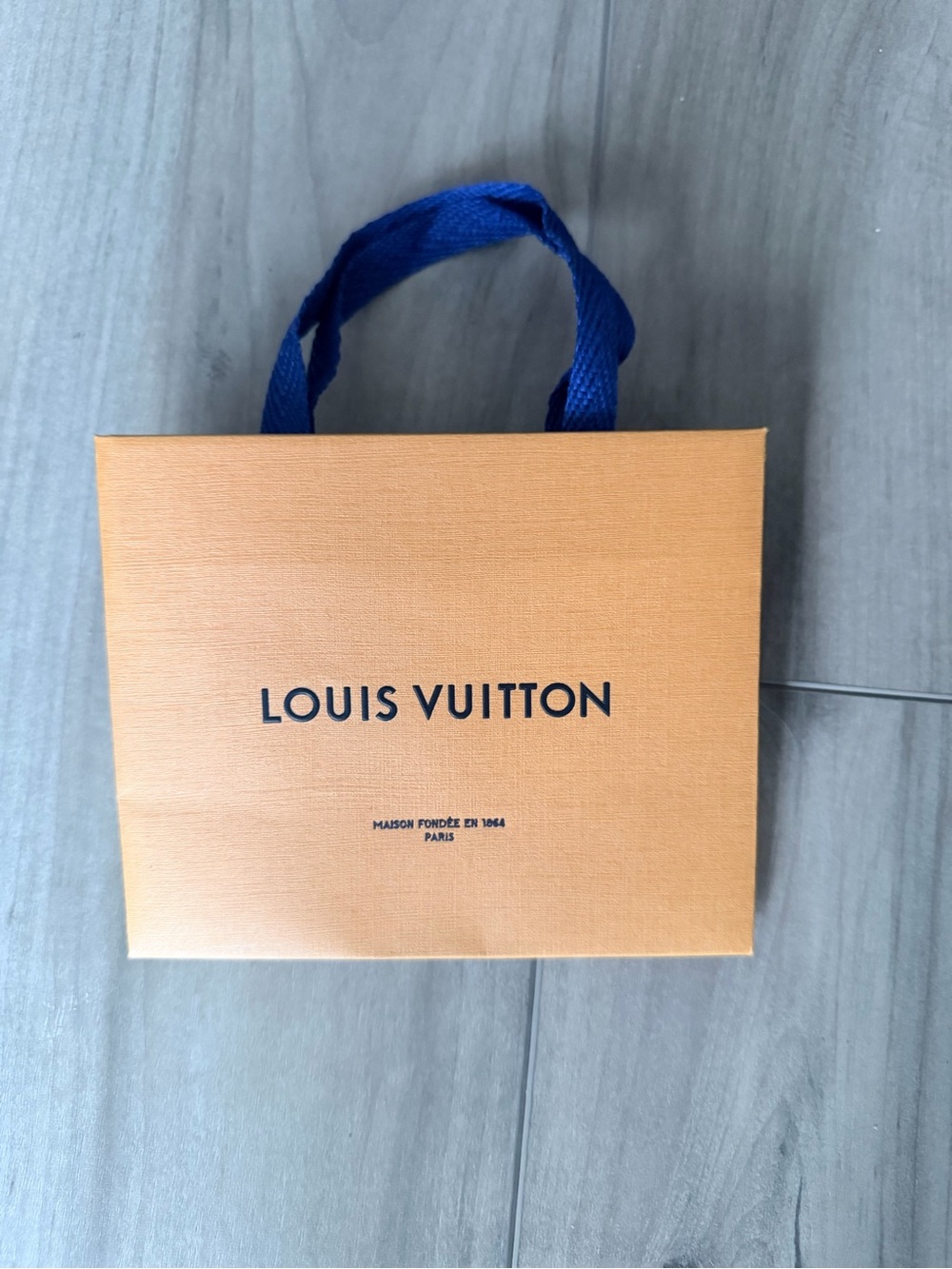 Louis Vuitton Paper Bag